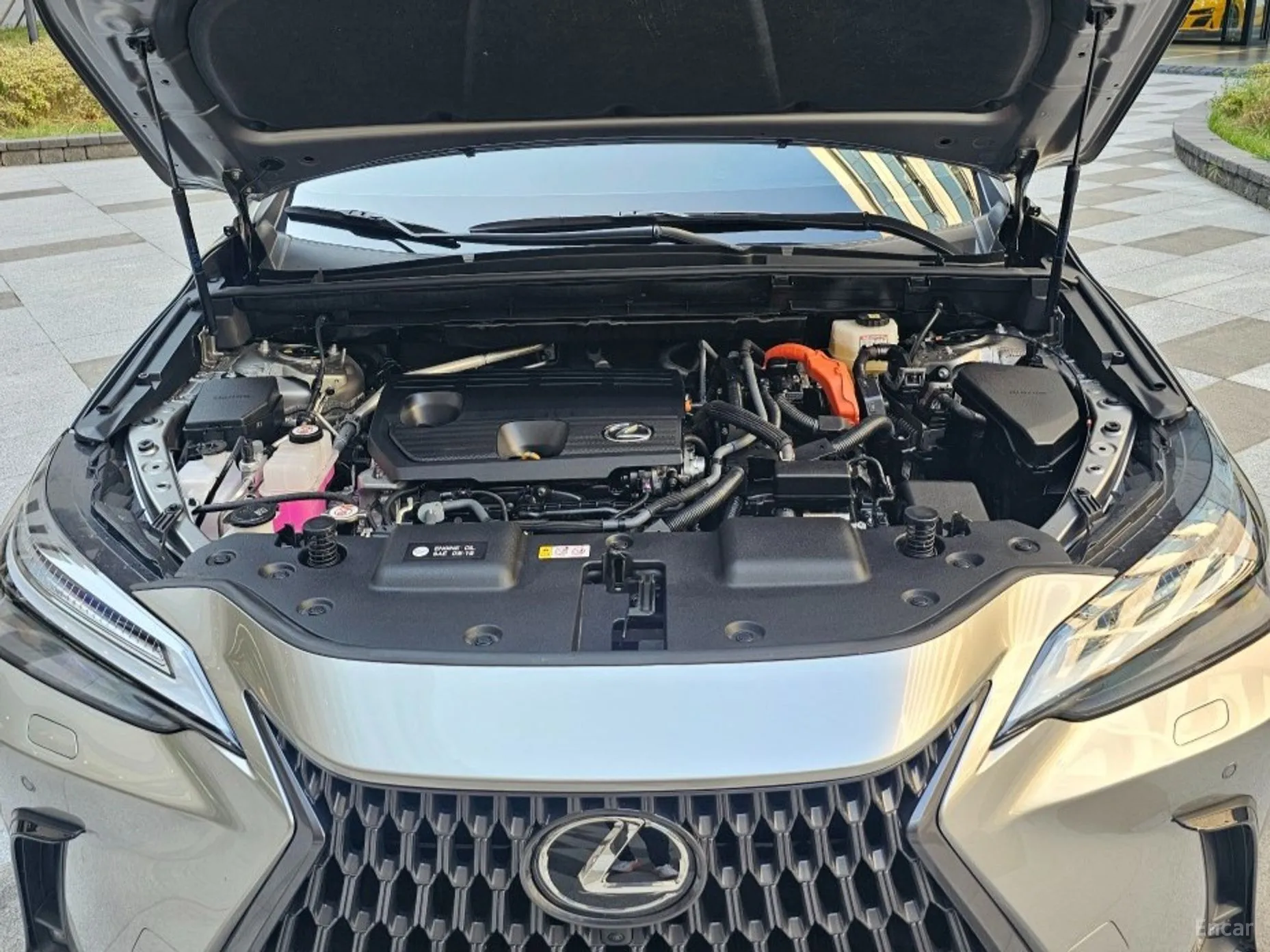 Lexus NX350h Gen 2 превью 6