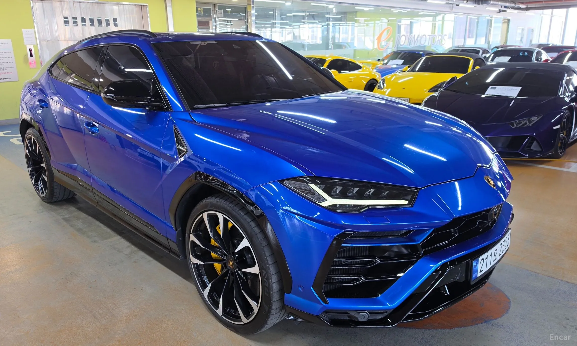 Urus
