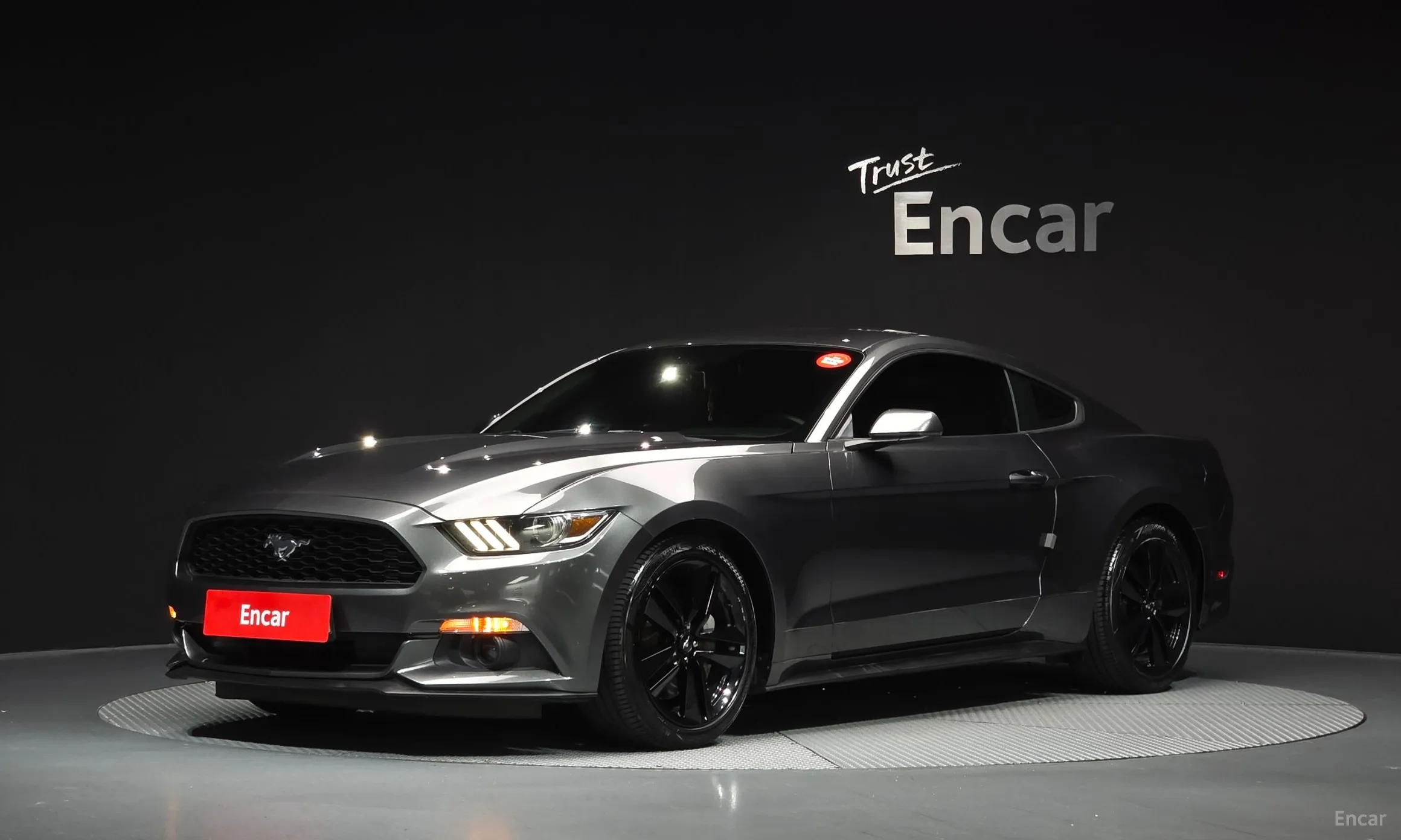 Mustang