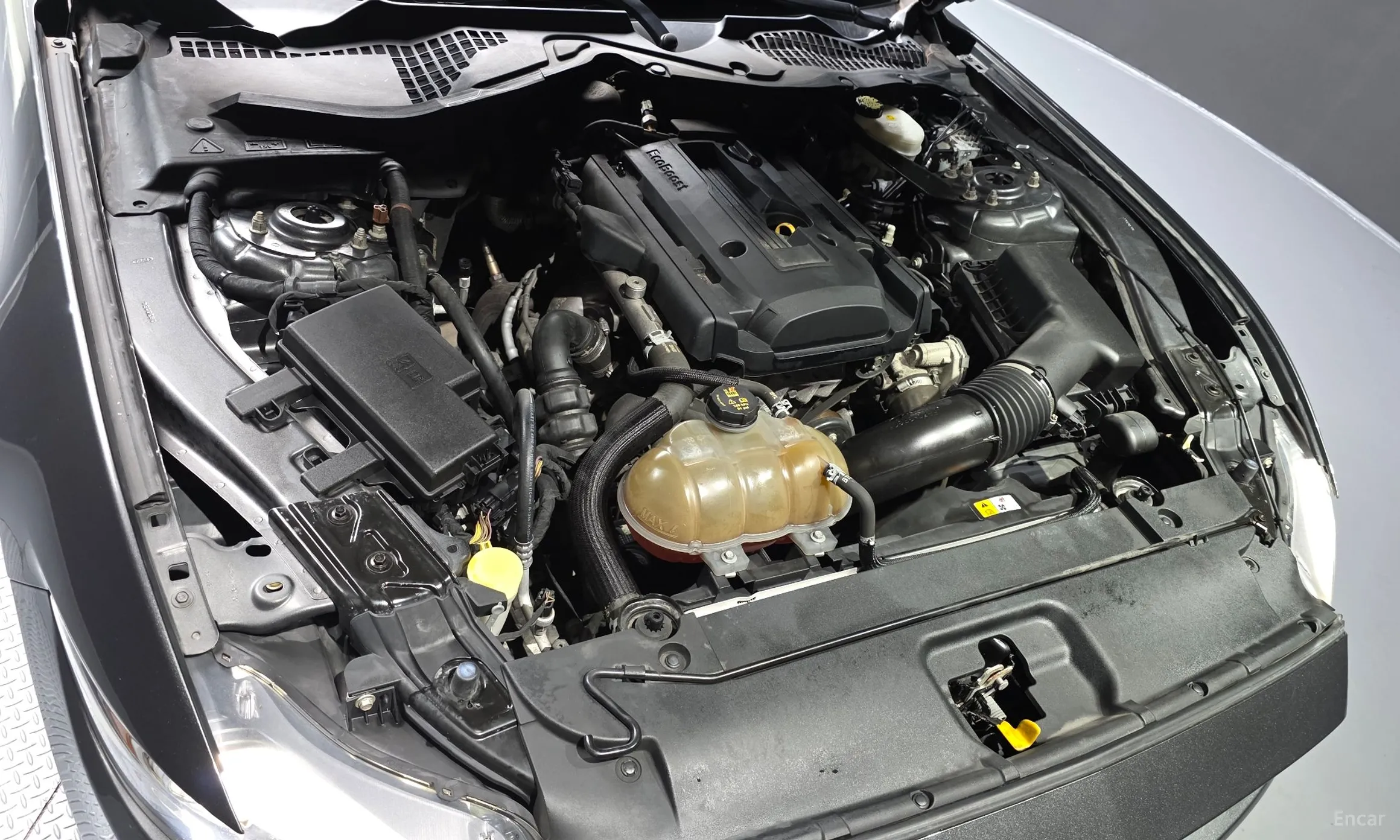 Ford Mustang превью 6