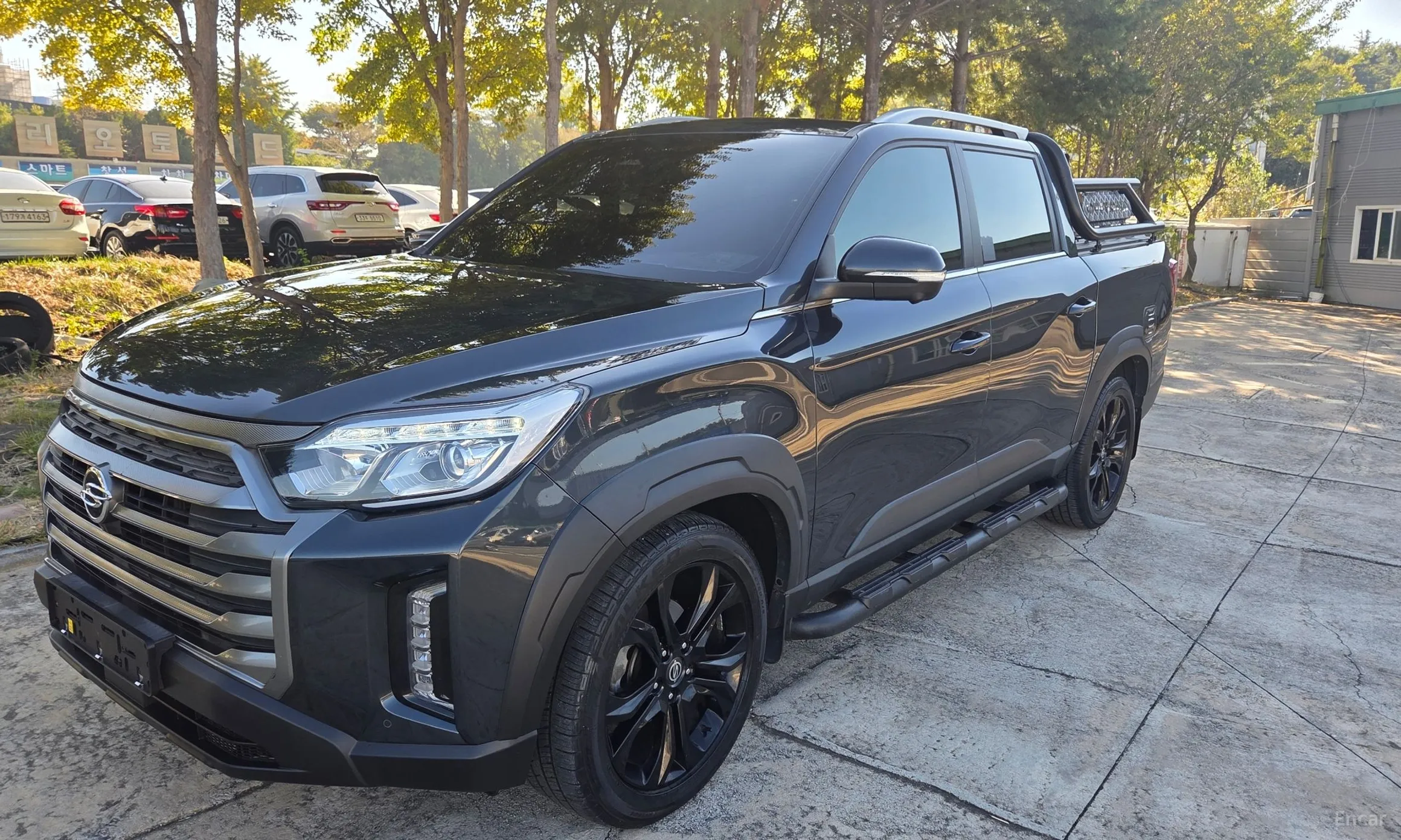 Rexton Sports