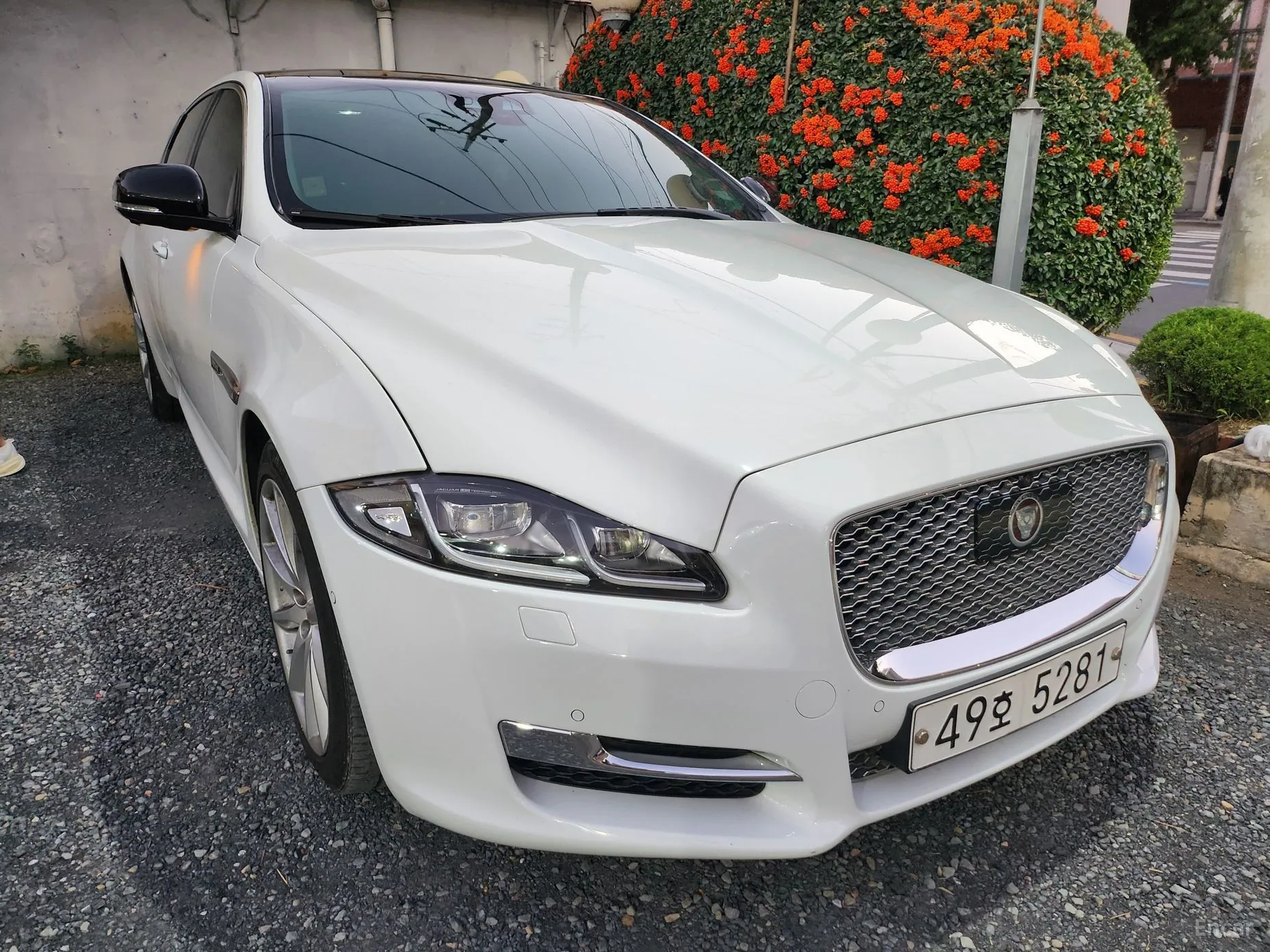 All New XJ