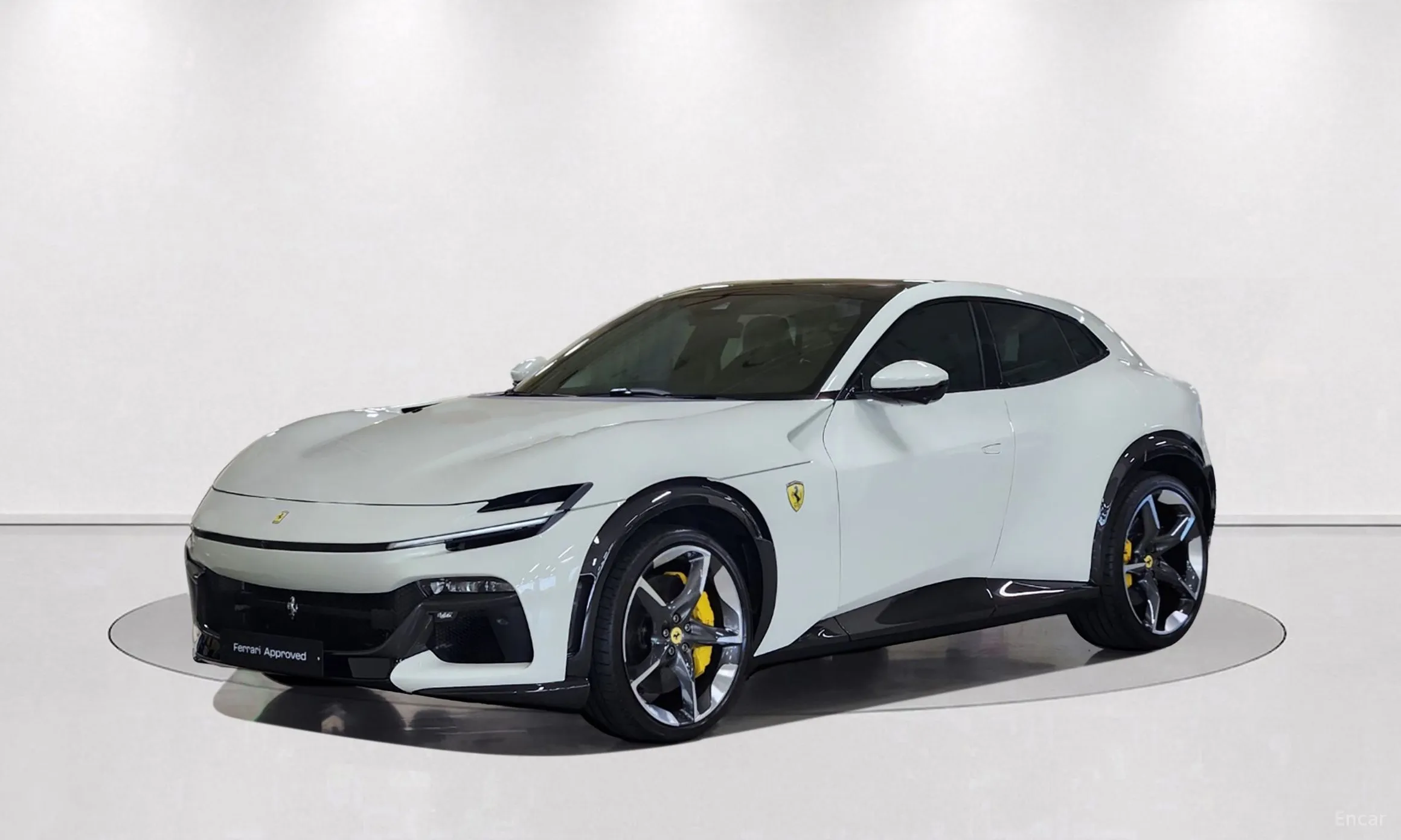 Ferrari Puro Sange превью 10