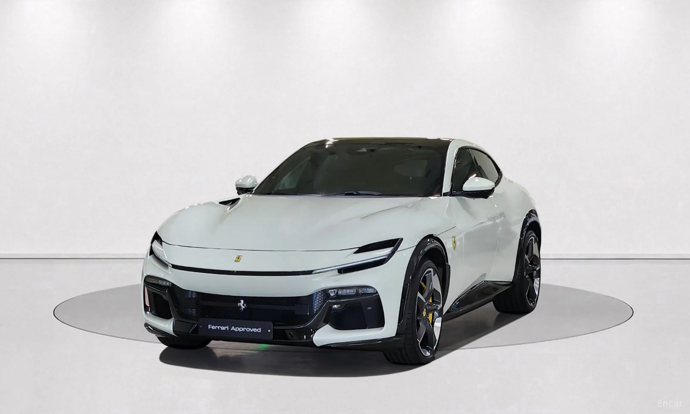 Ferrari Puro Sange превью 11