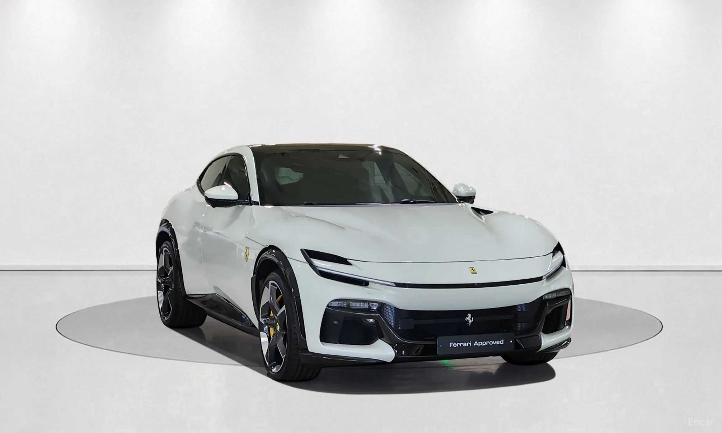 Ferrari Puro Sange превью 3