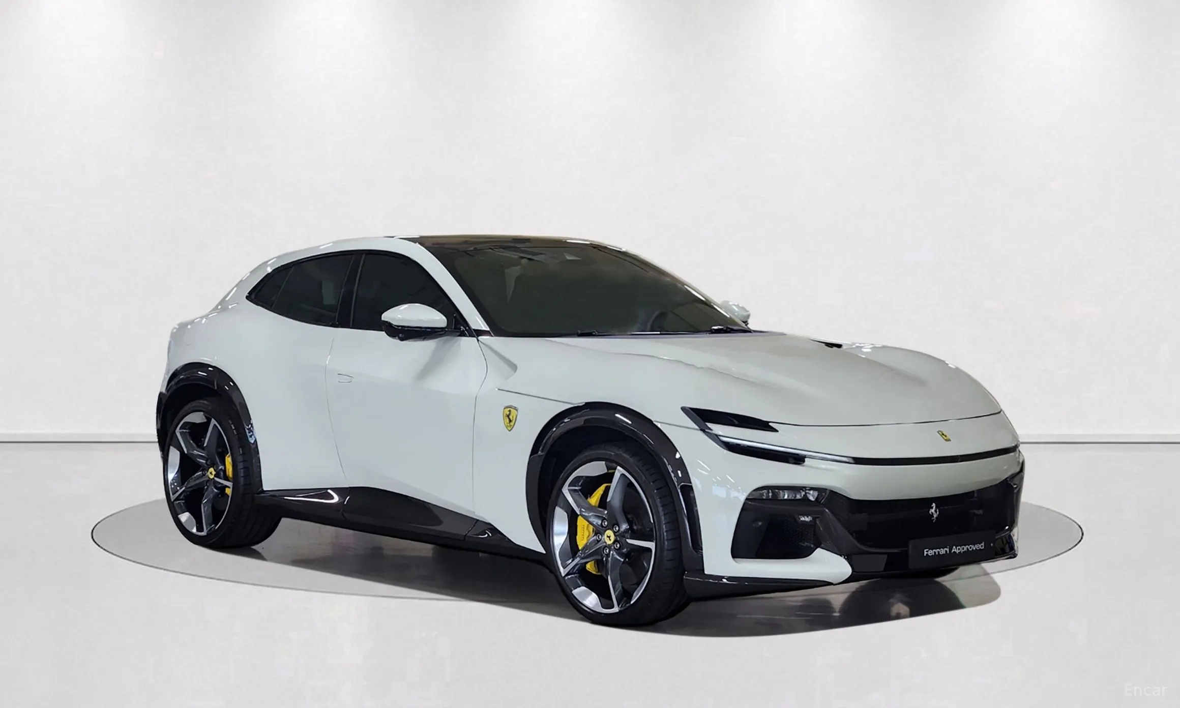 Ferrari Puro Sange превью 4