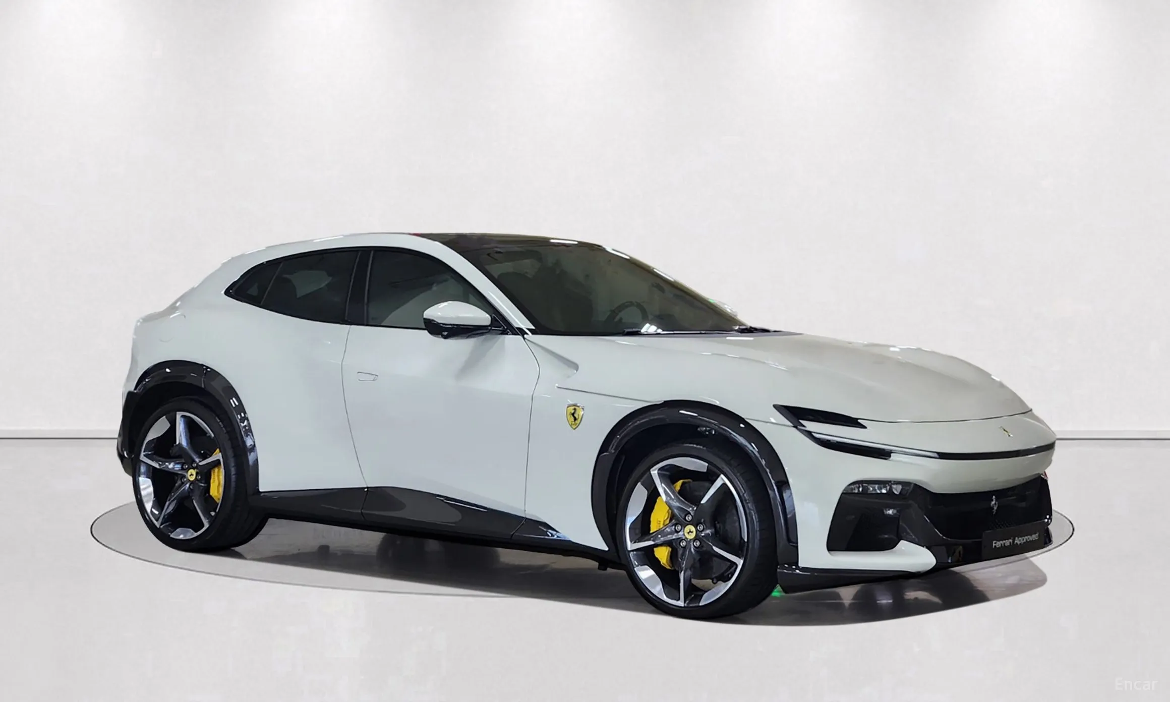 Ferrari Puro Sange превью 5