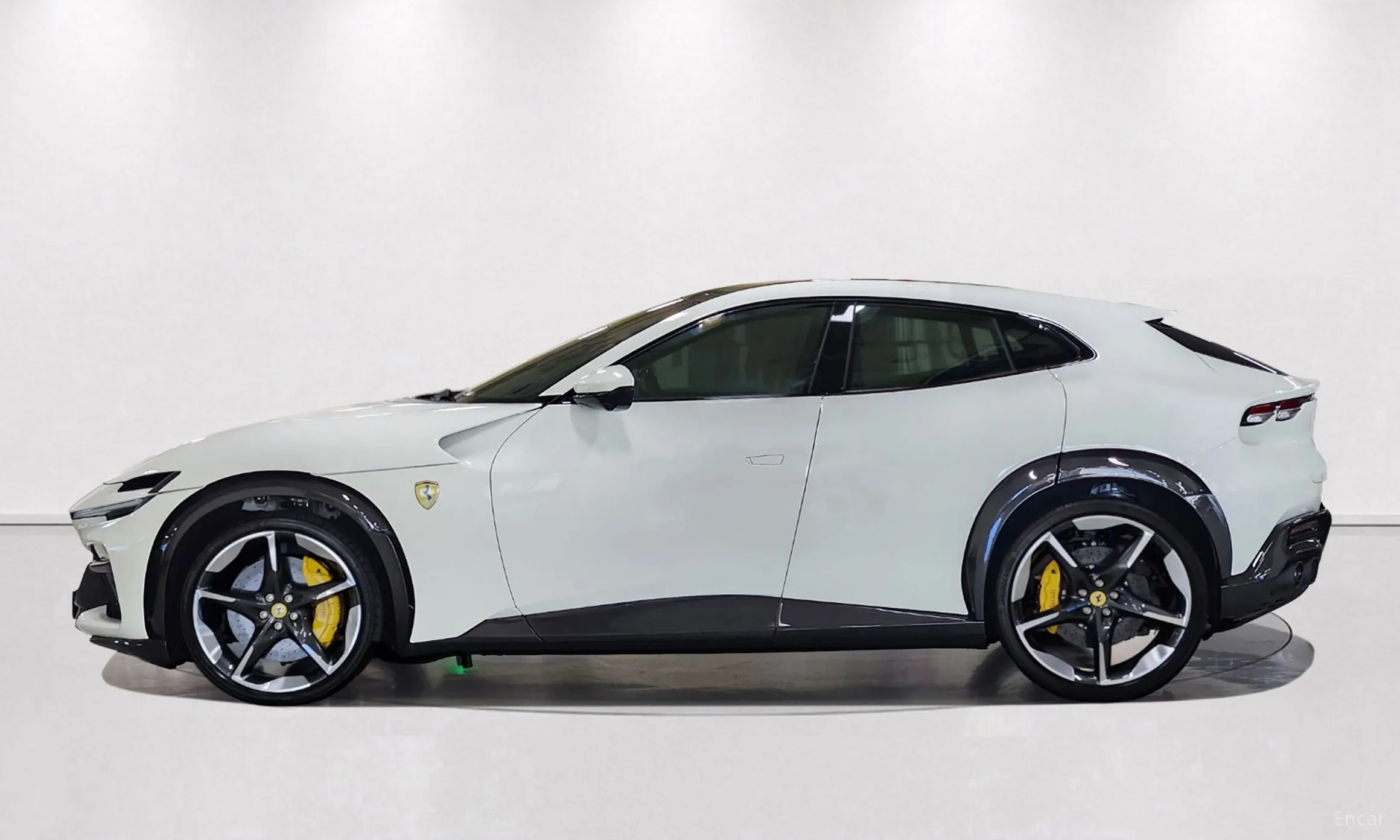 Ferrari Puro Sange превью 8