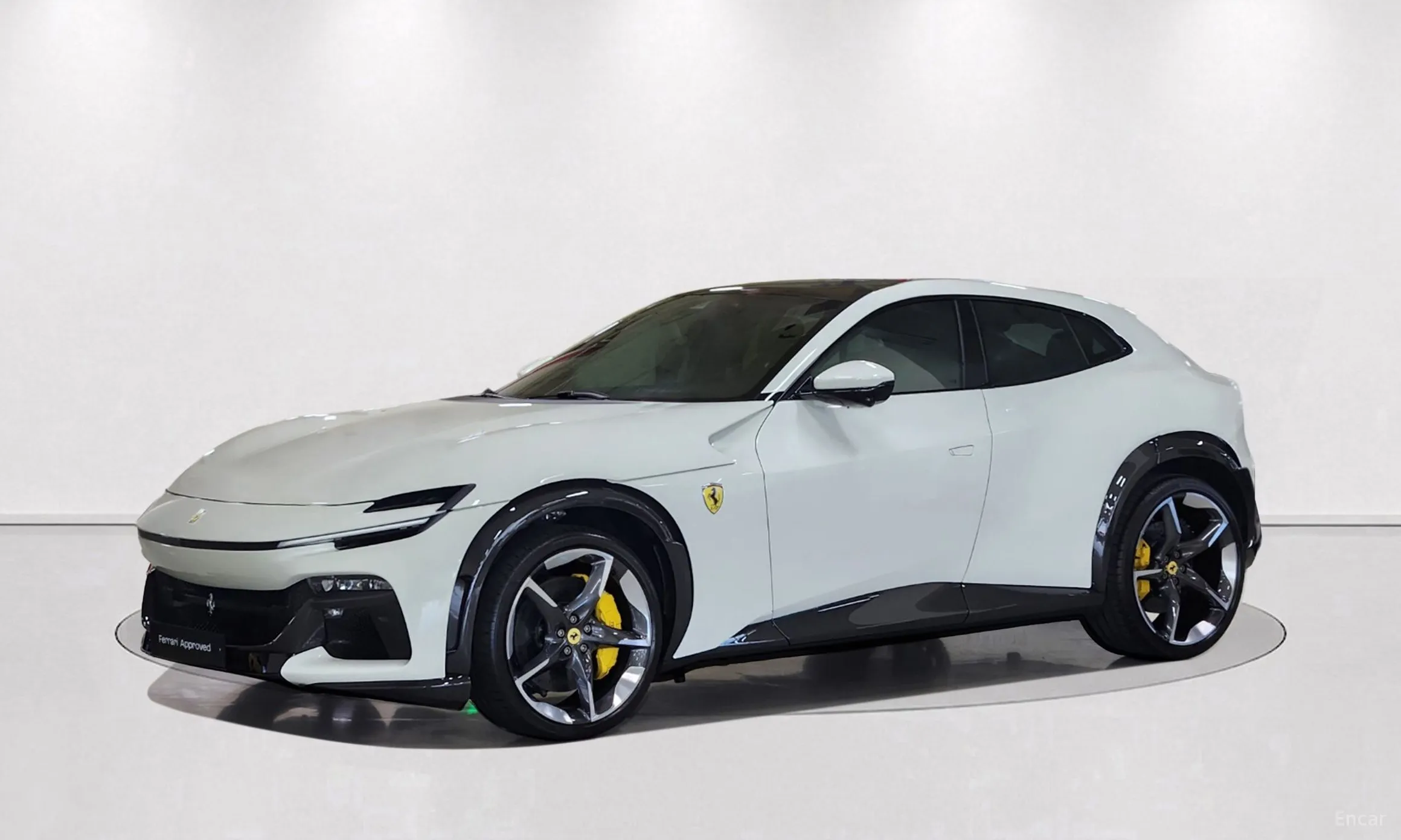 Ferrari Puro Sange превью 9