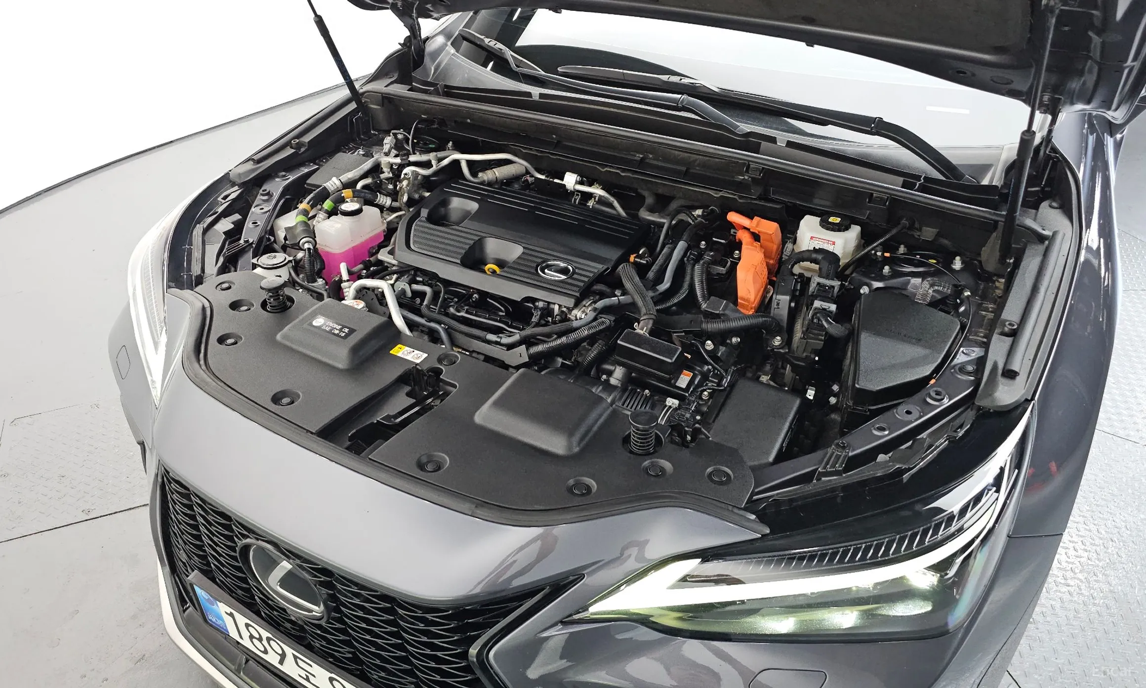 Lexus NX450h + 2nd Gen превью 6
