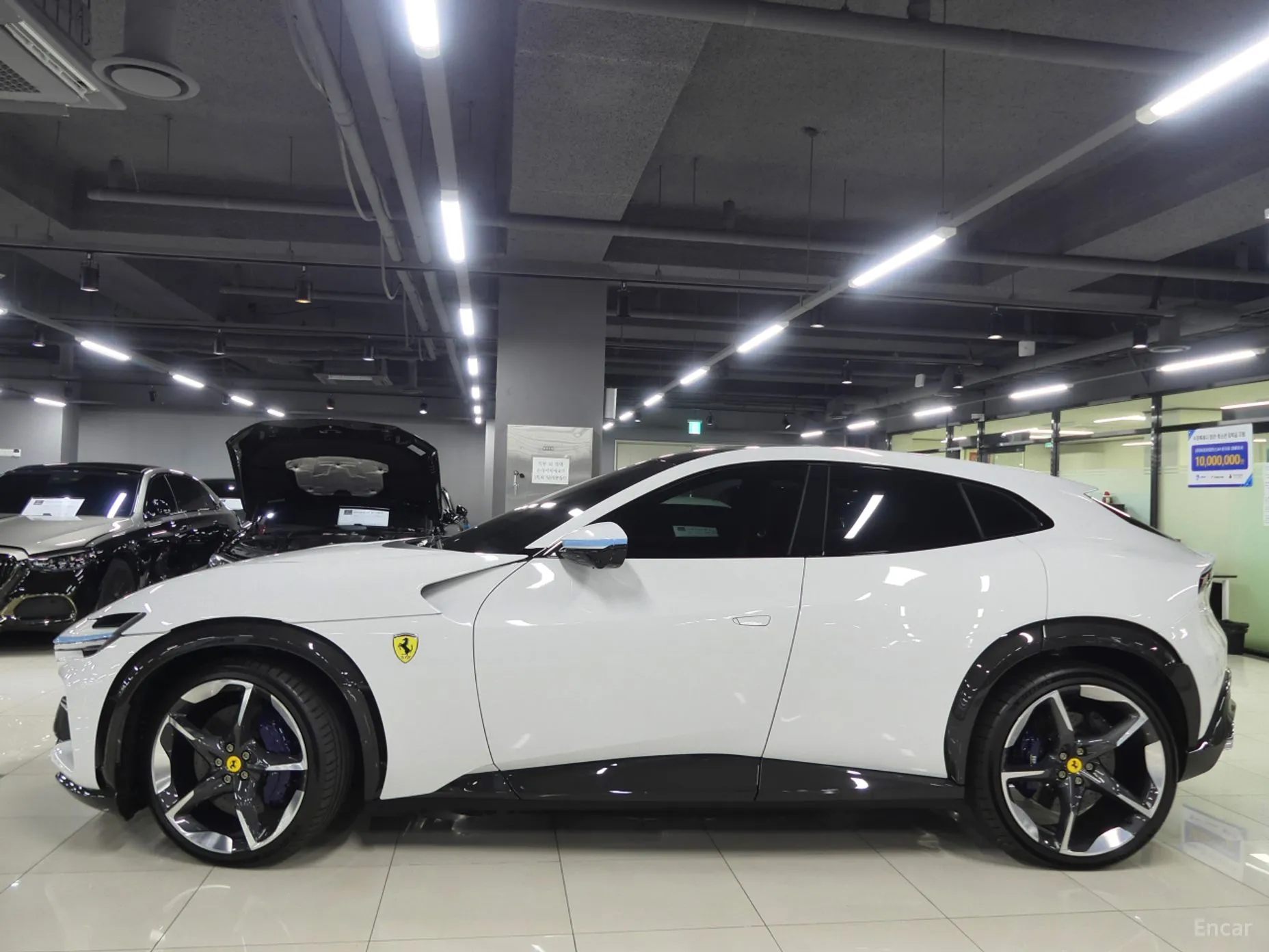 Ferrari Puro Sange