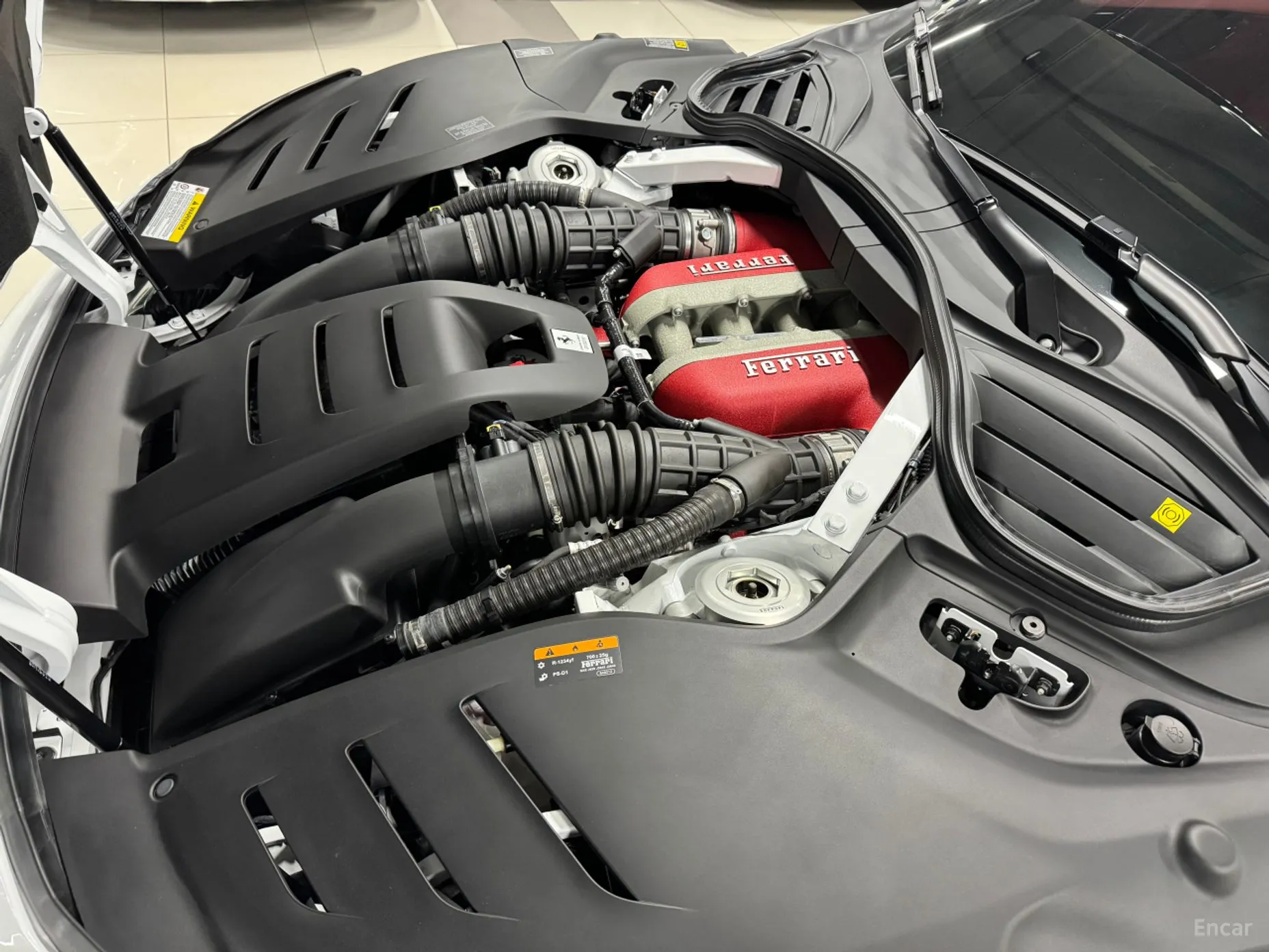 Ferrari Puro Sange превью 5
