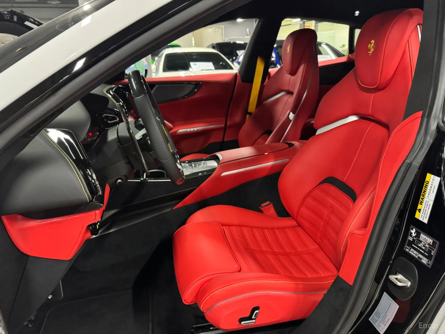 Ferrari Puro Sange превью 8
