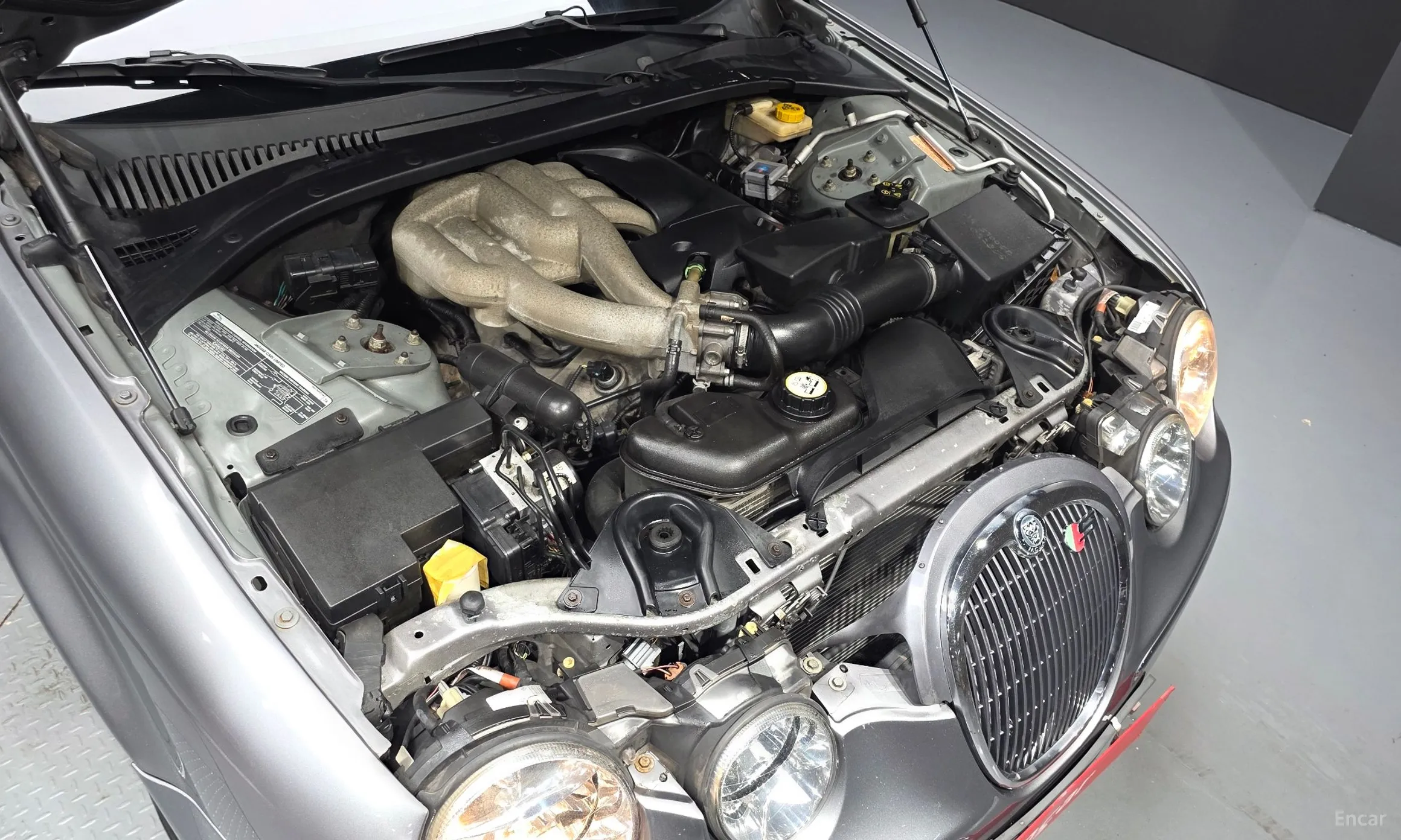 Jaguar %s type. превью 6