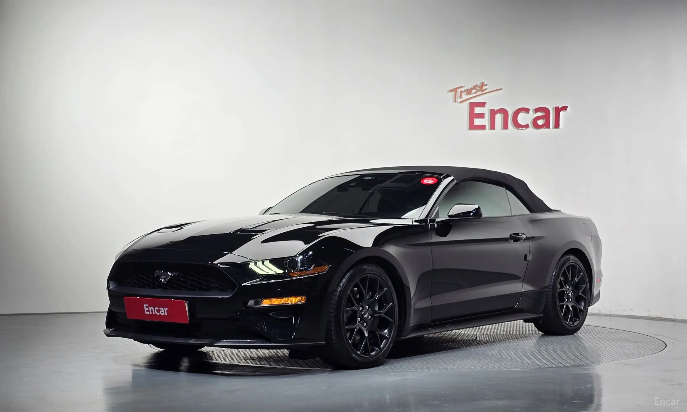 Mustang