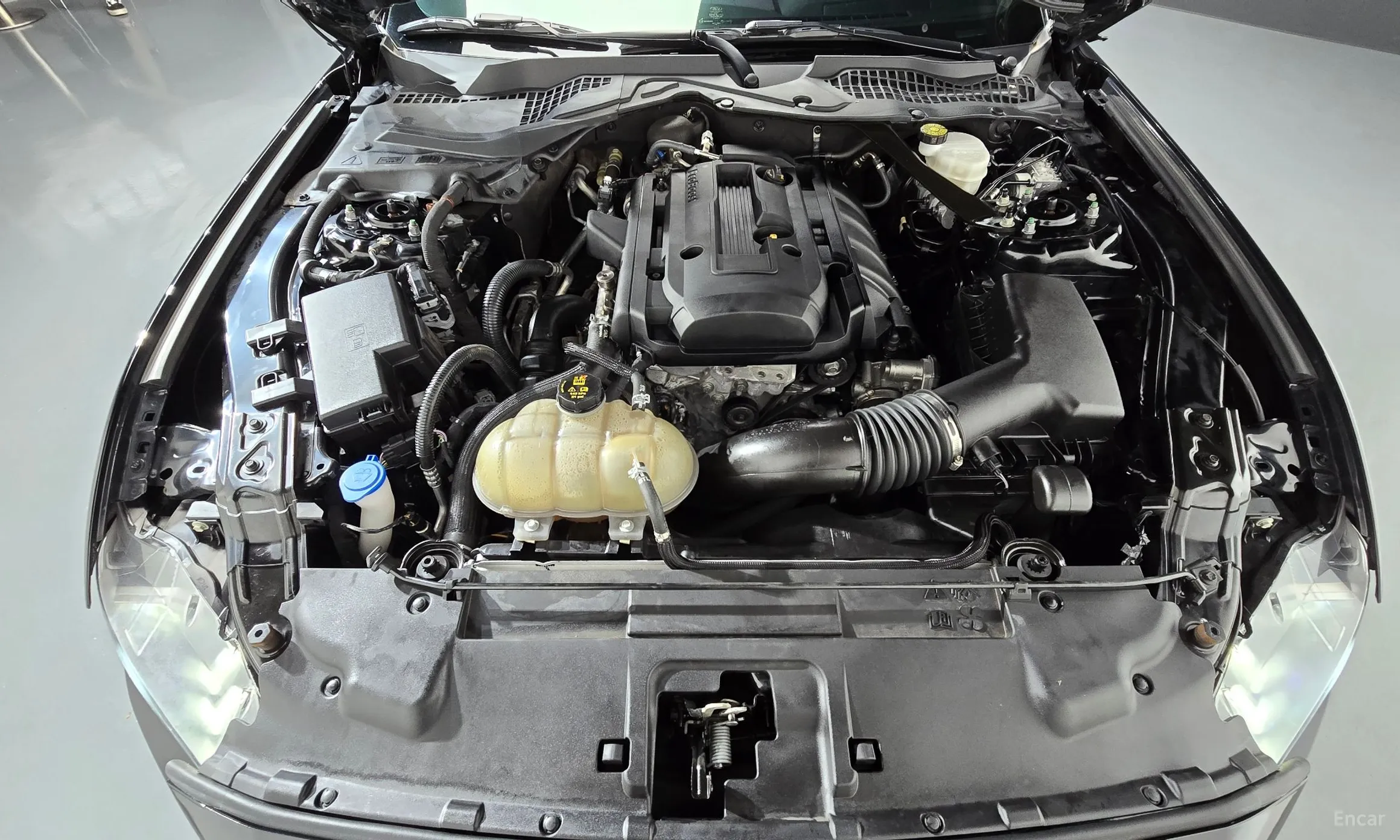 Ford Mustang превью 6