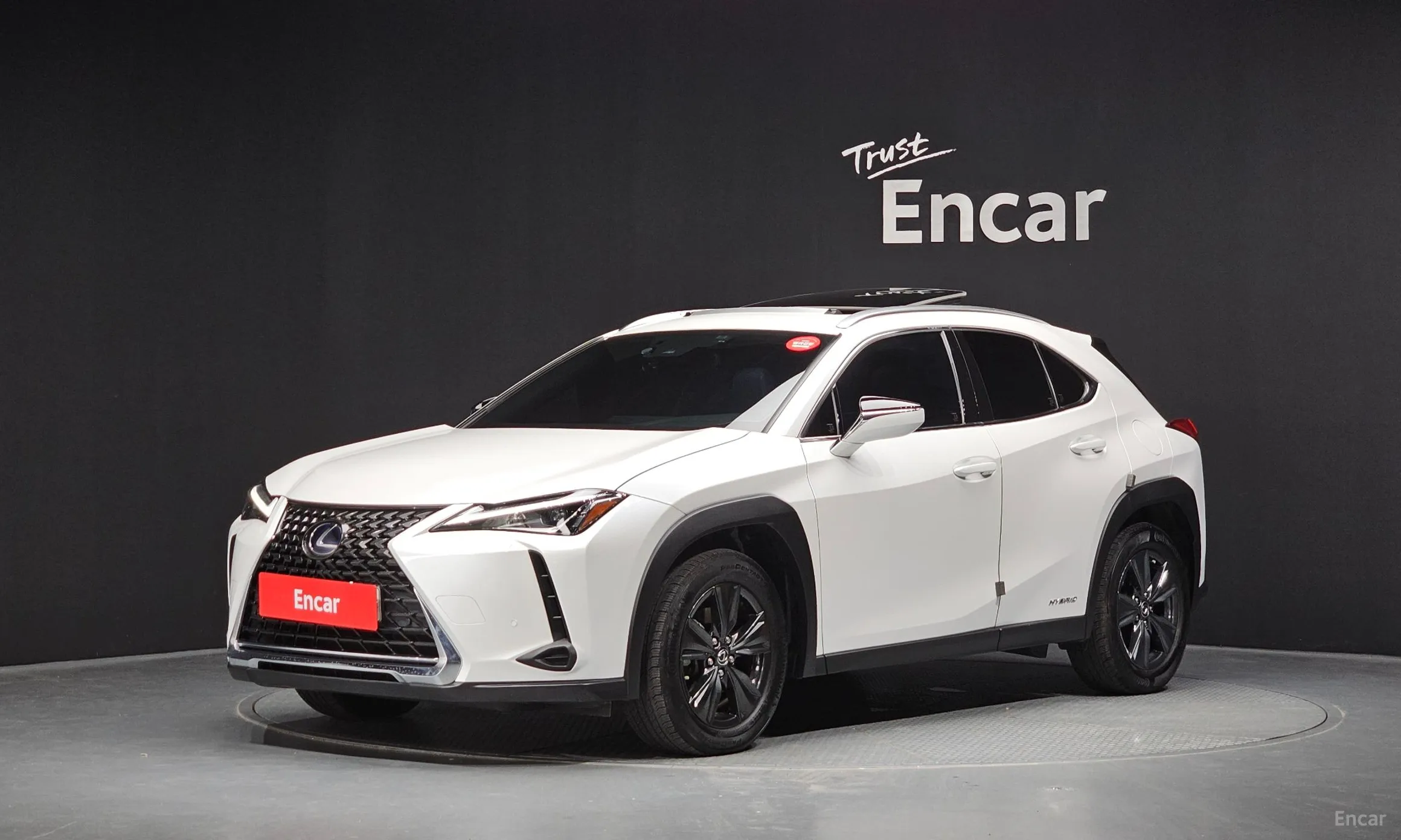Lexus UX250h