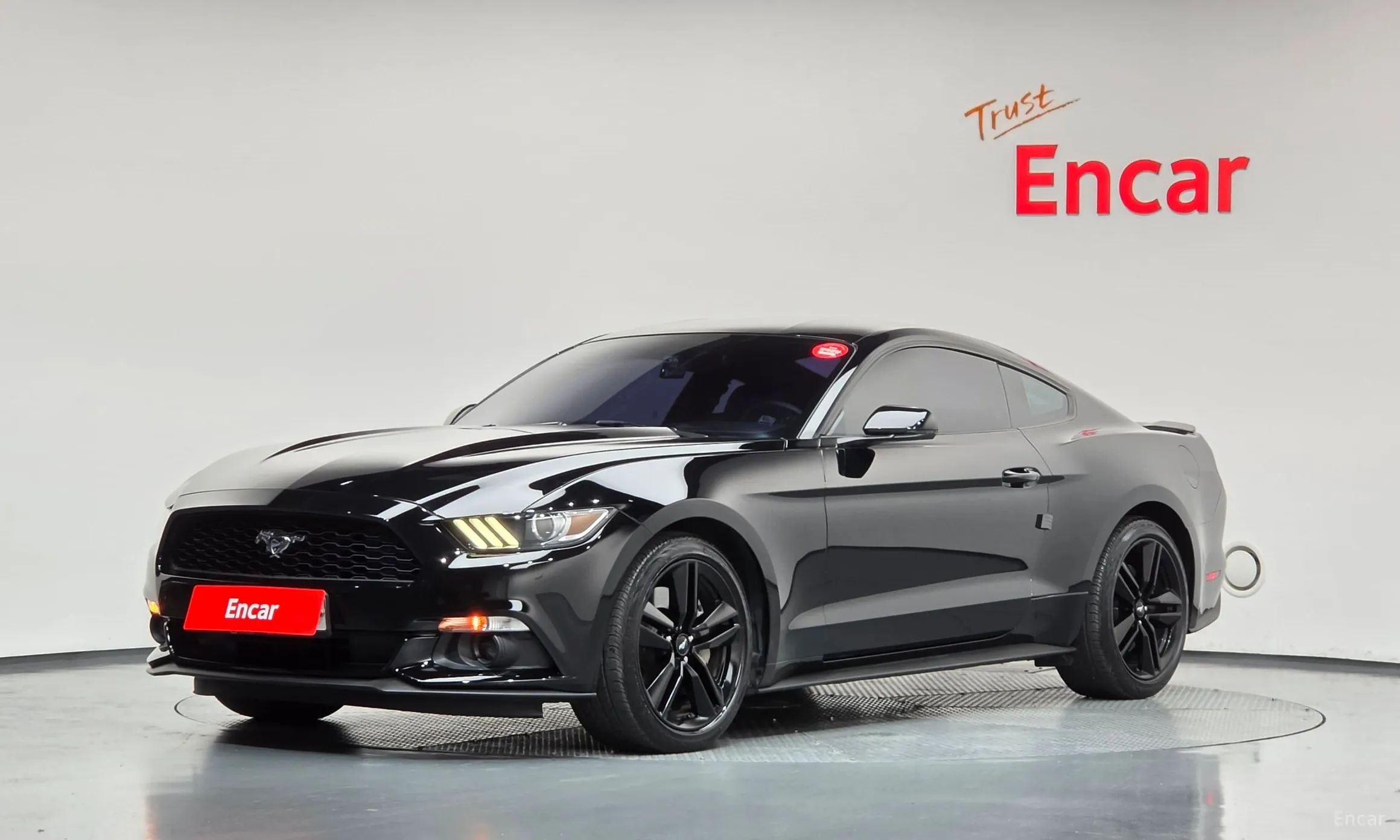 Mustang