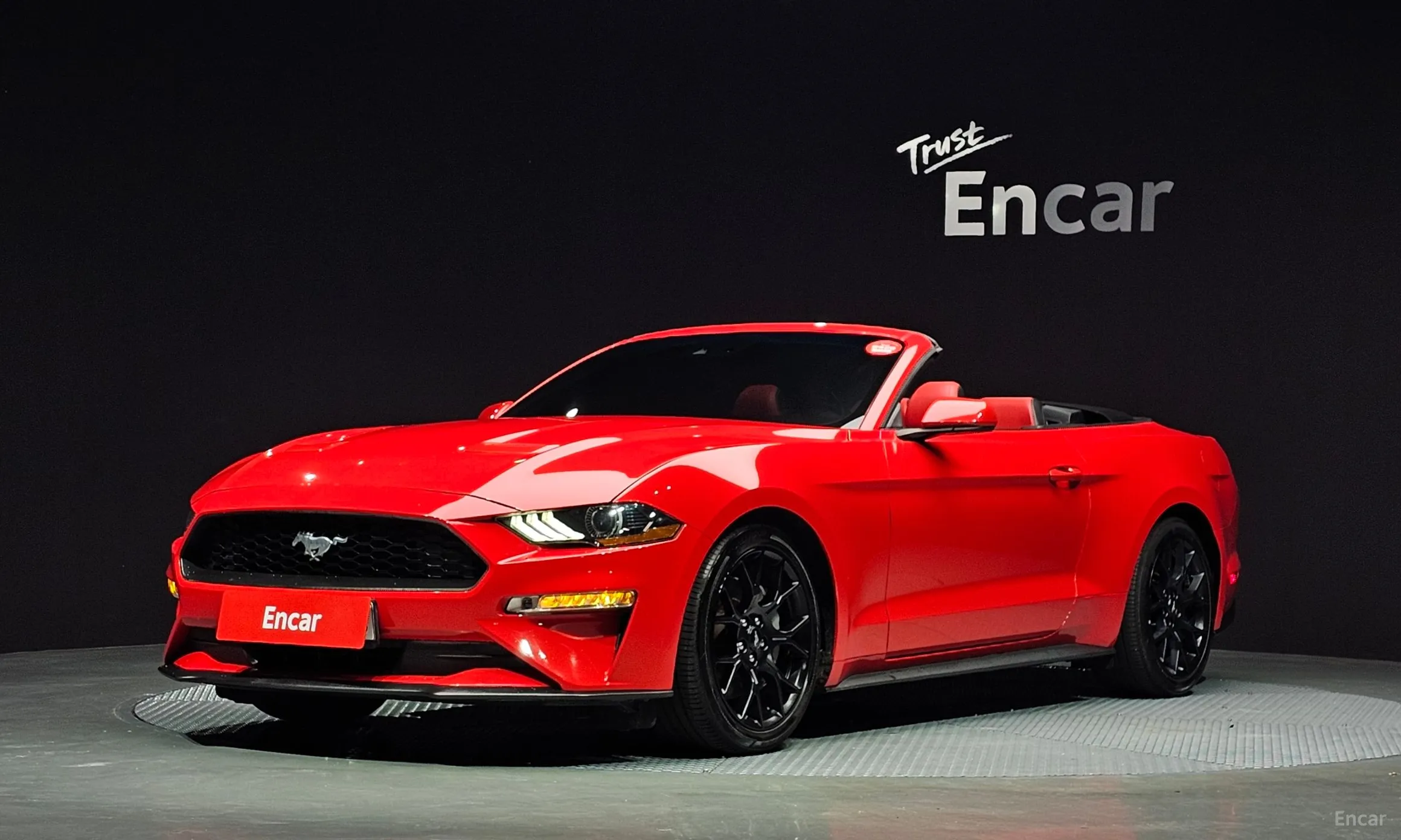 Mustang