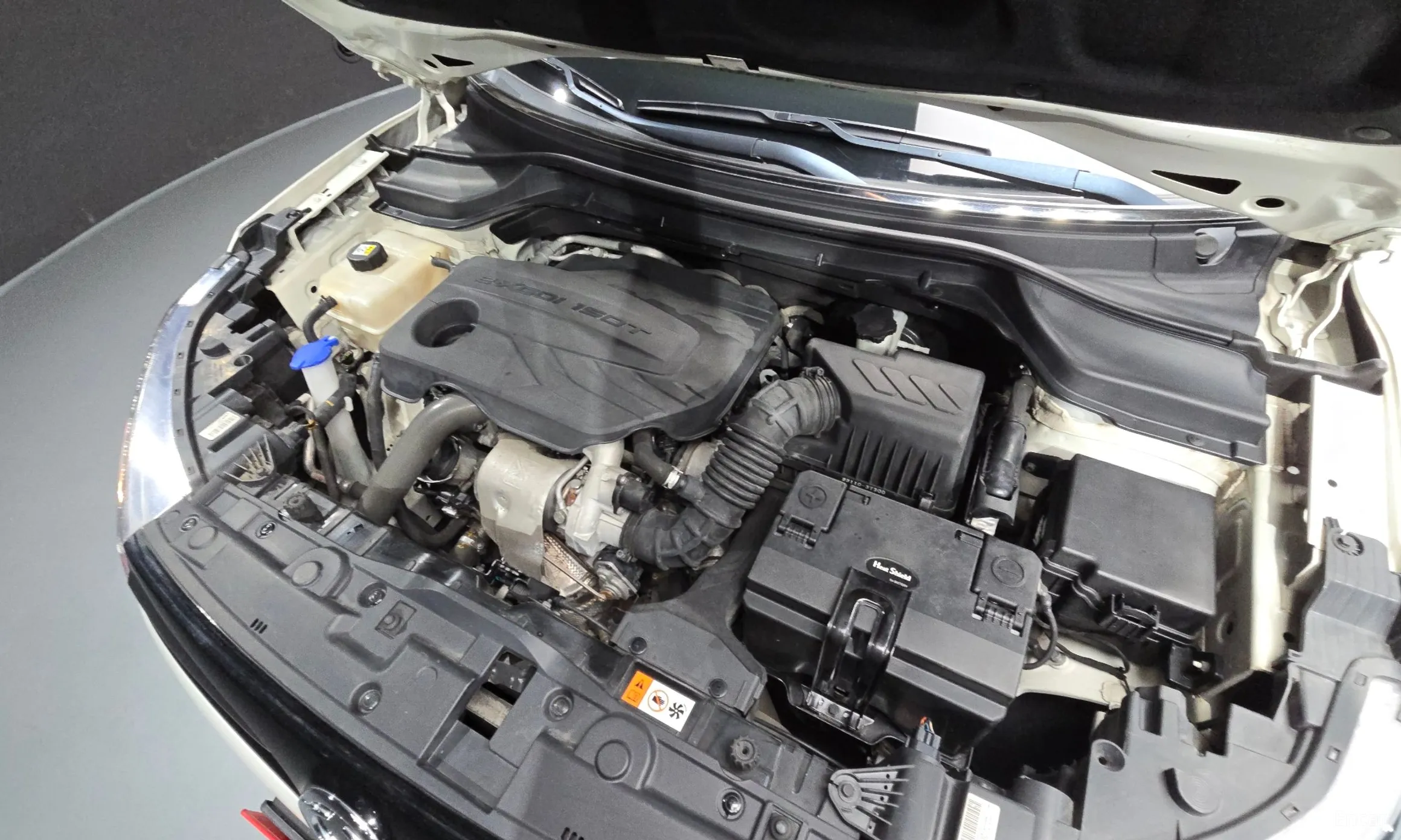 KG Mobility (SsangYong) Berry New Tivoli превью 6