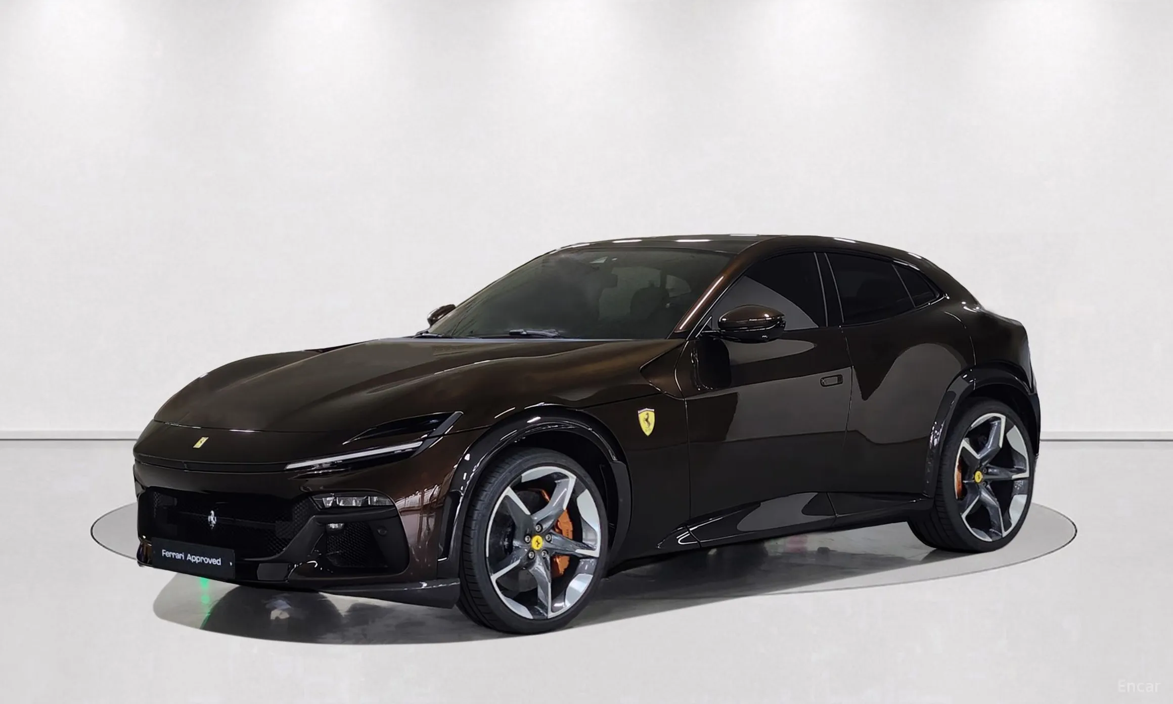 Ferrari Puro Sange превью 10