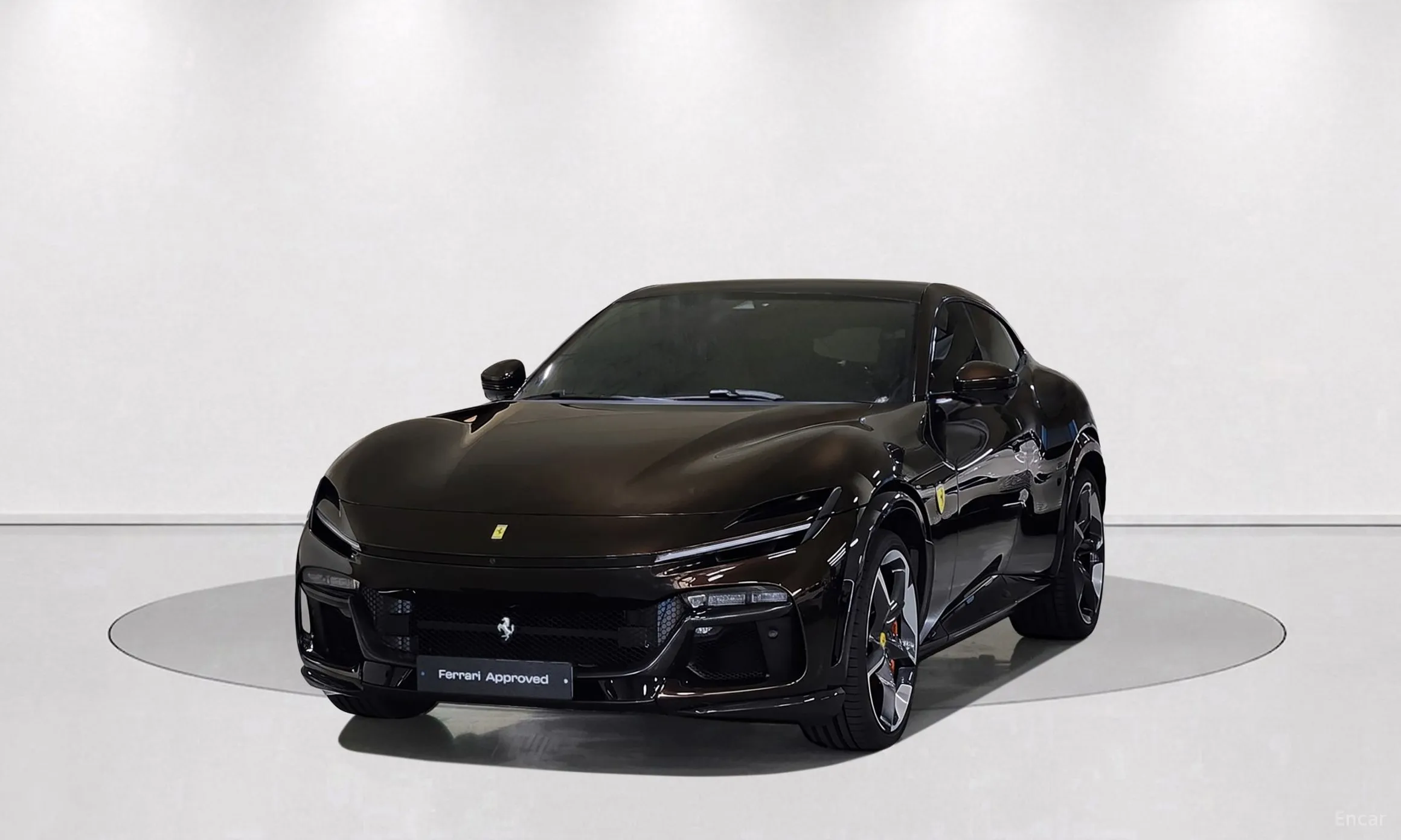 Ferrari Puro Sange превью 11
