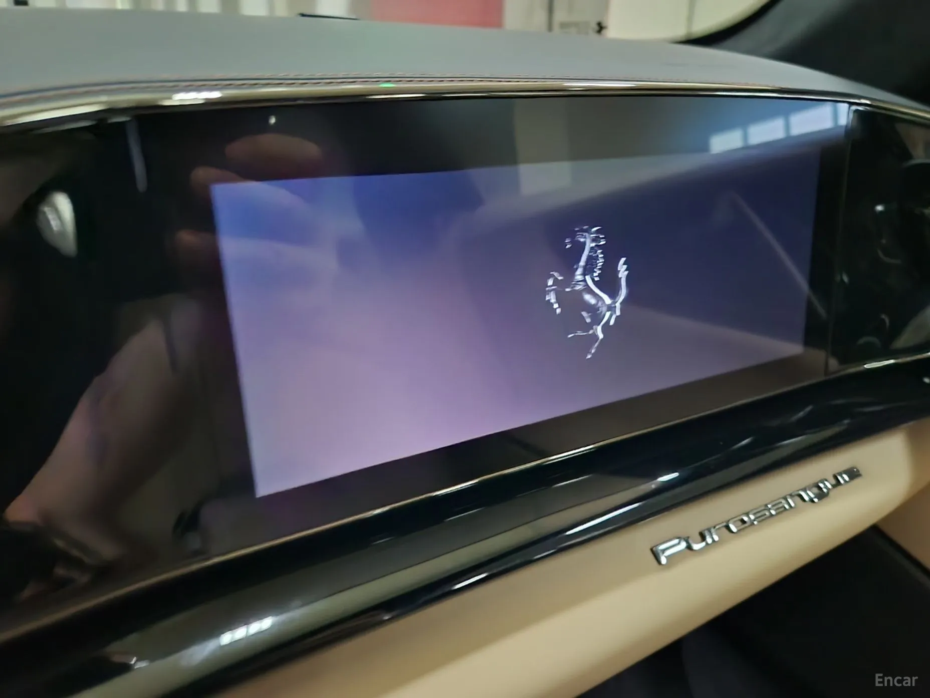 Ferrari Puro Sange превью 15