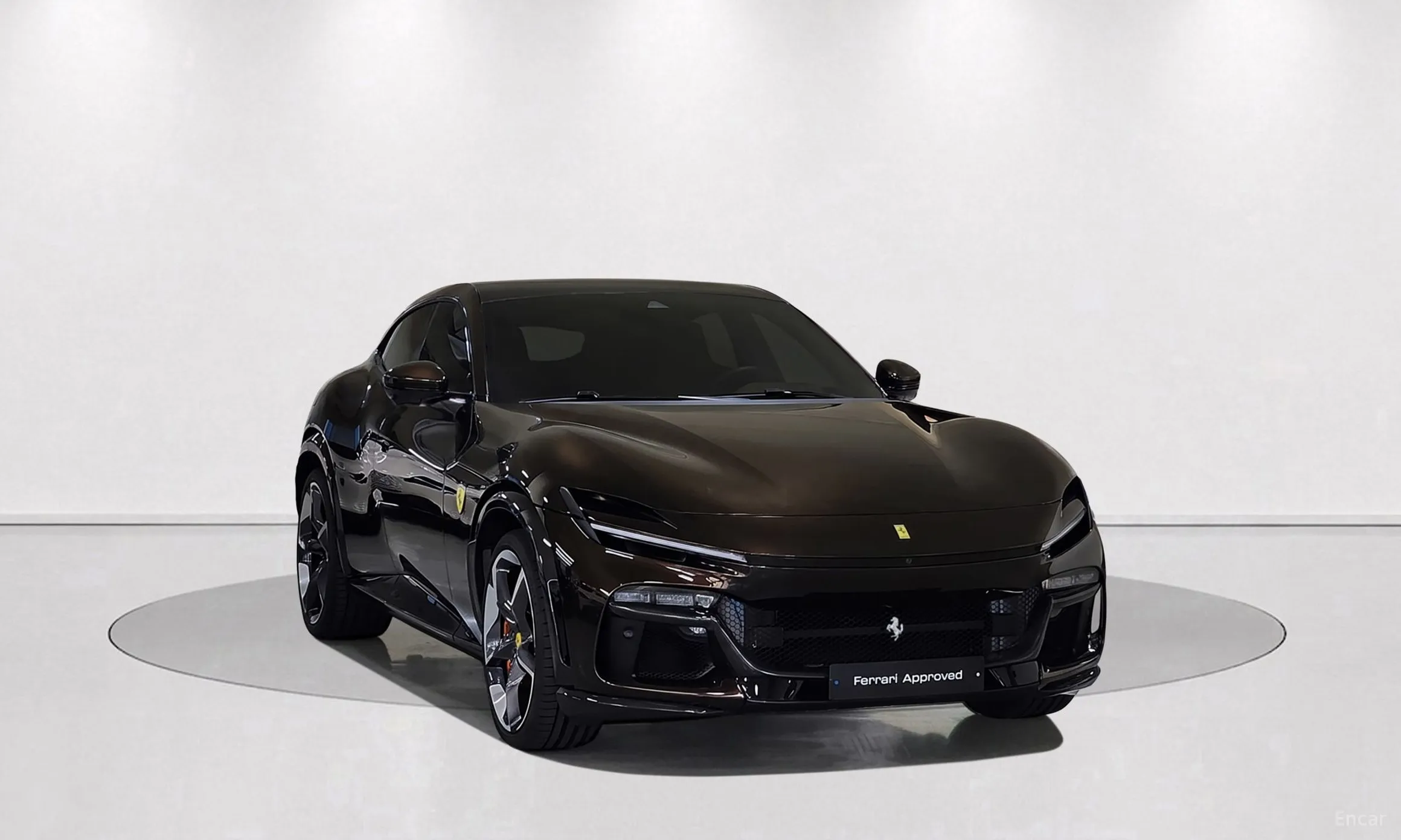 Ferrari Puro Sange превью 3