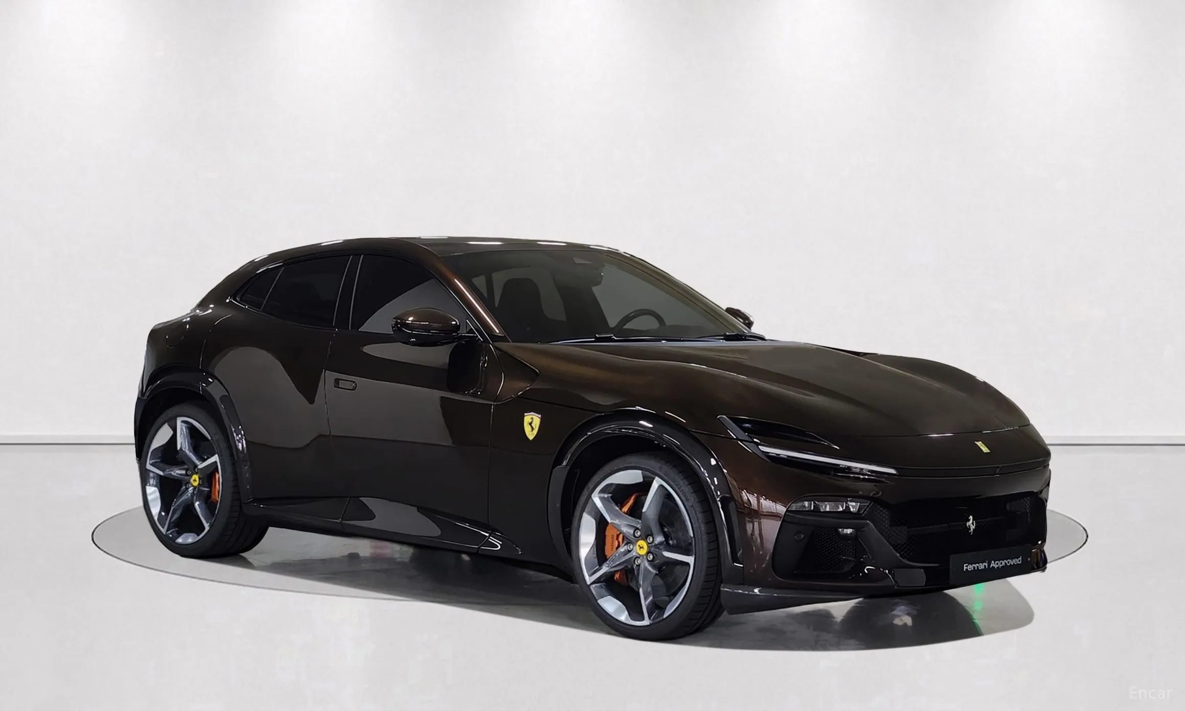 Ferrari Puro Sange превью 4