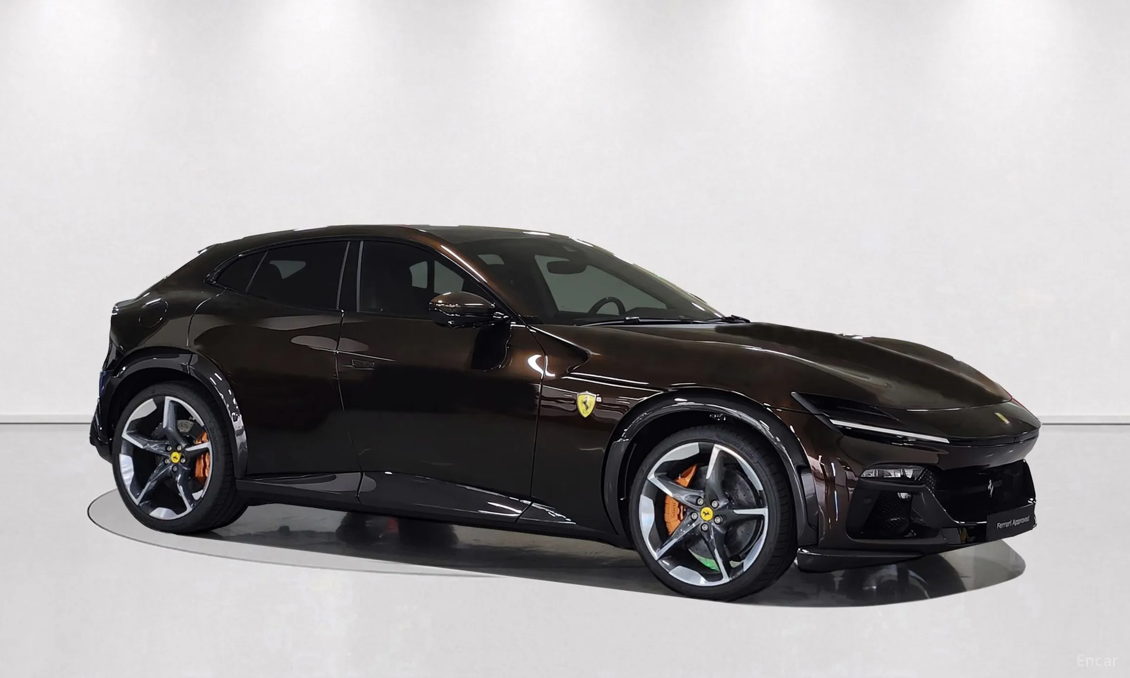 Ferrari Puro Sange превью 5