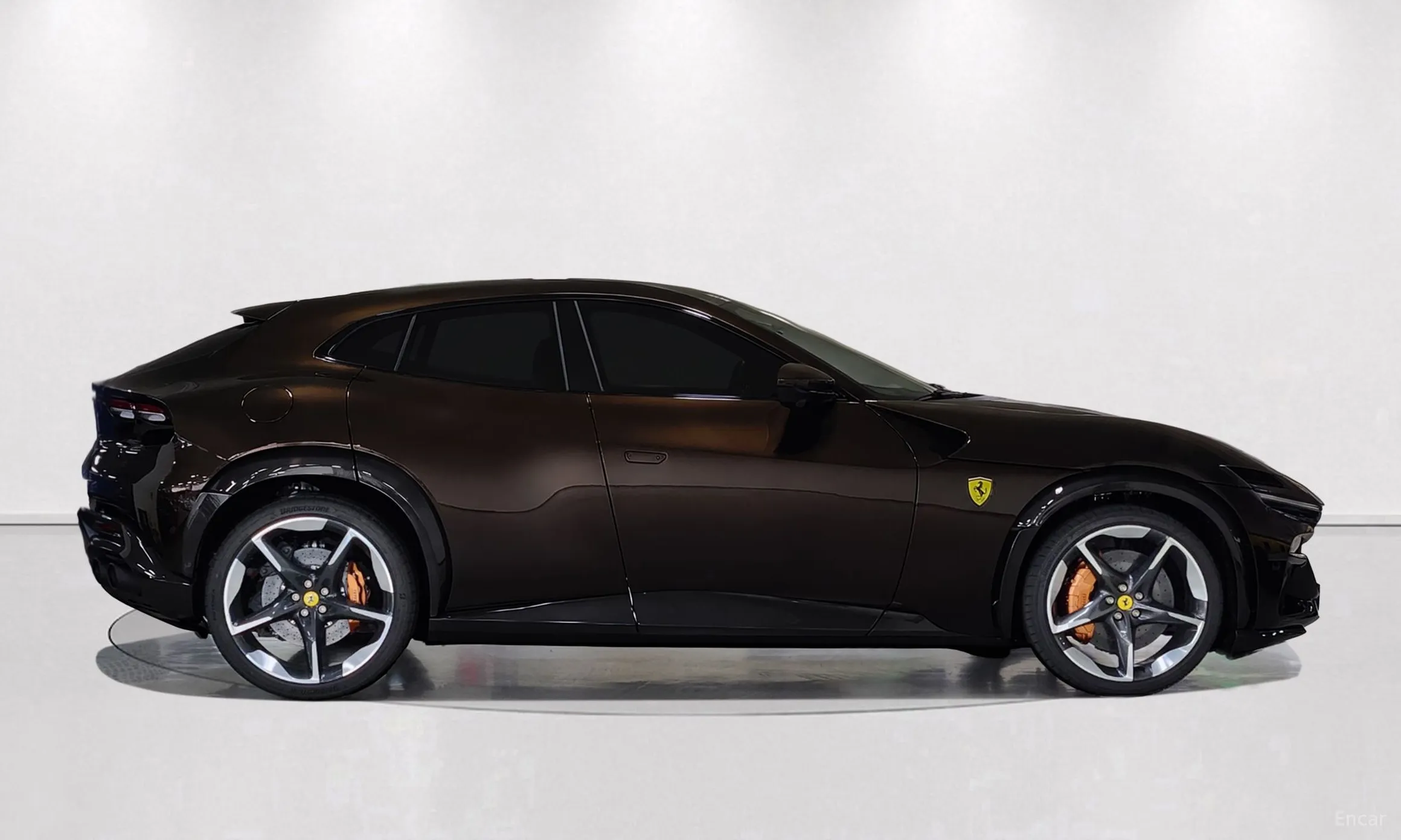 Ferrari Puro Sange превью 6