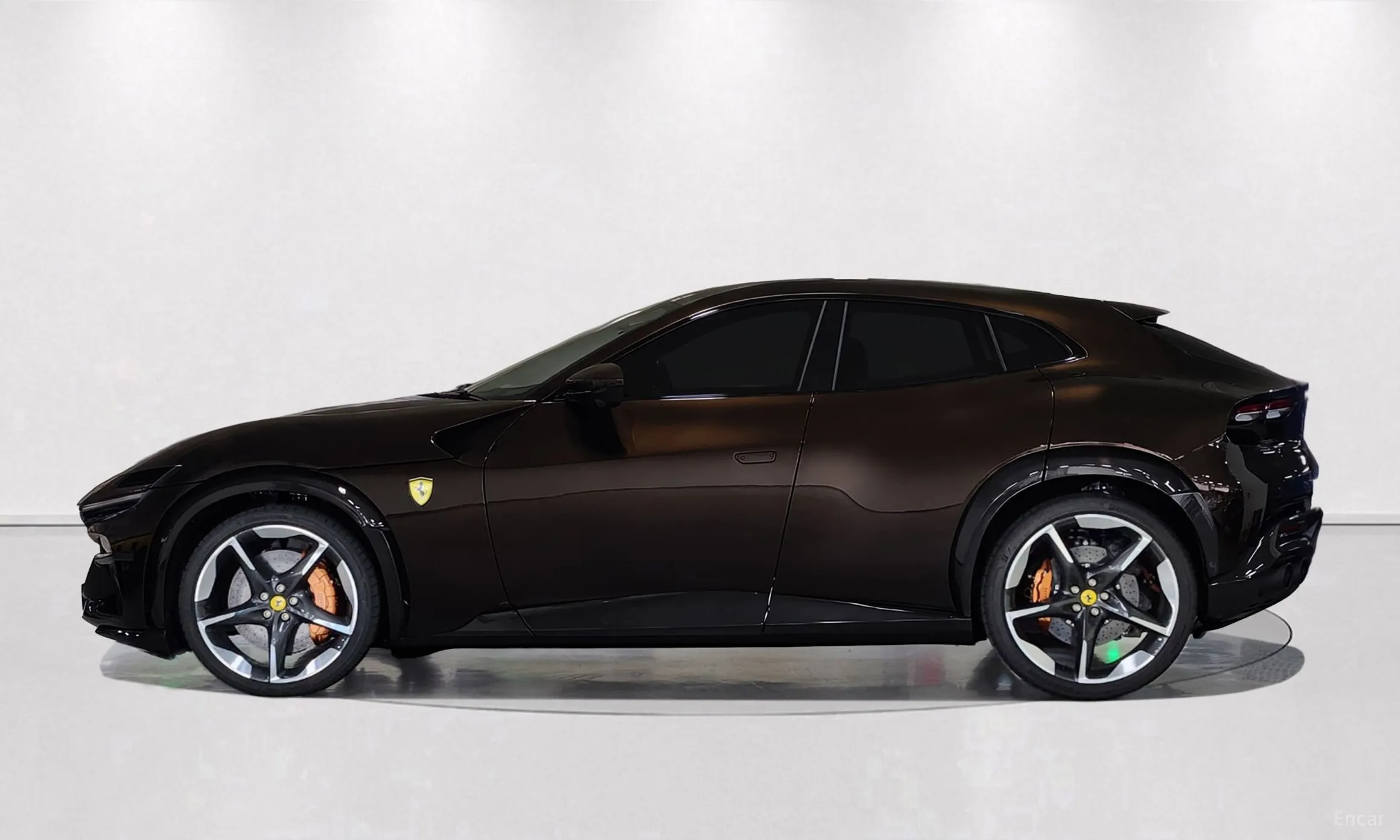 Ferrari Puro Sange превью 8