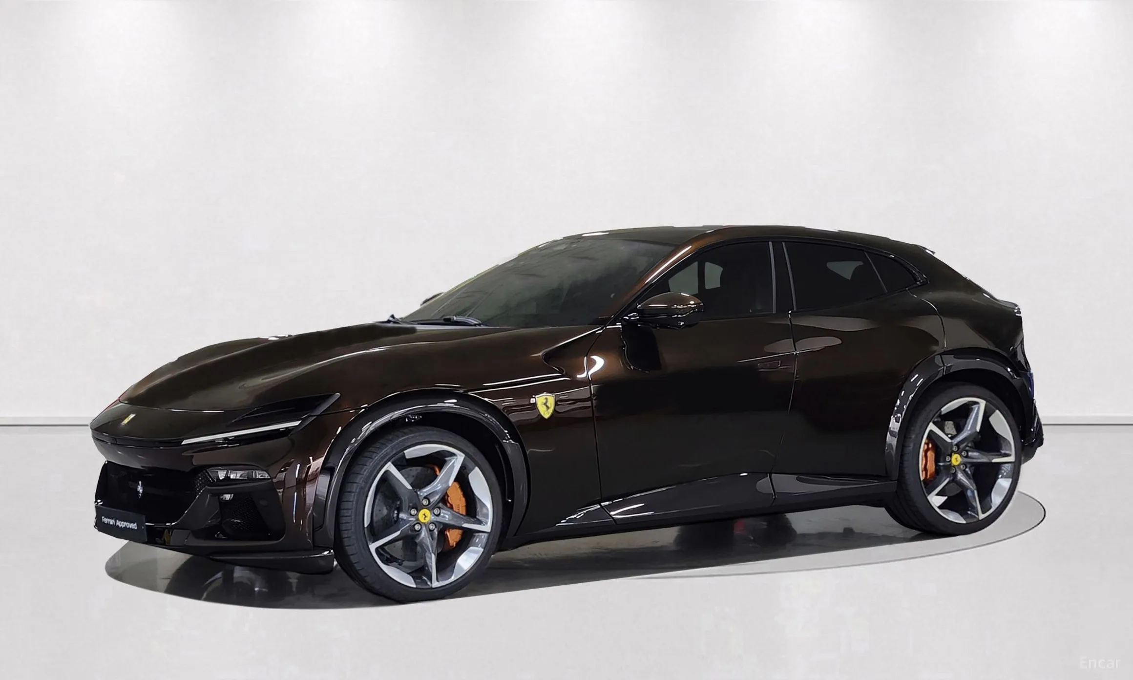 Ferrari Puro Sange превью 9
