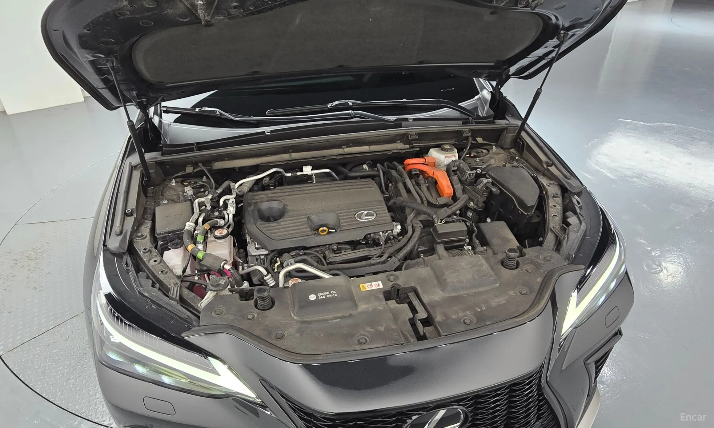 Lexus NX450h + 2nd Gen превью 6