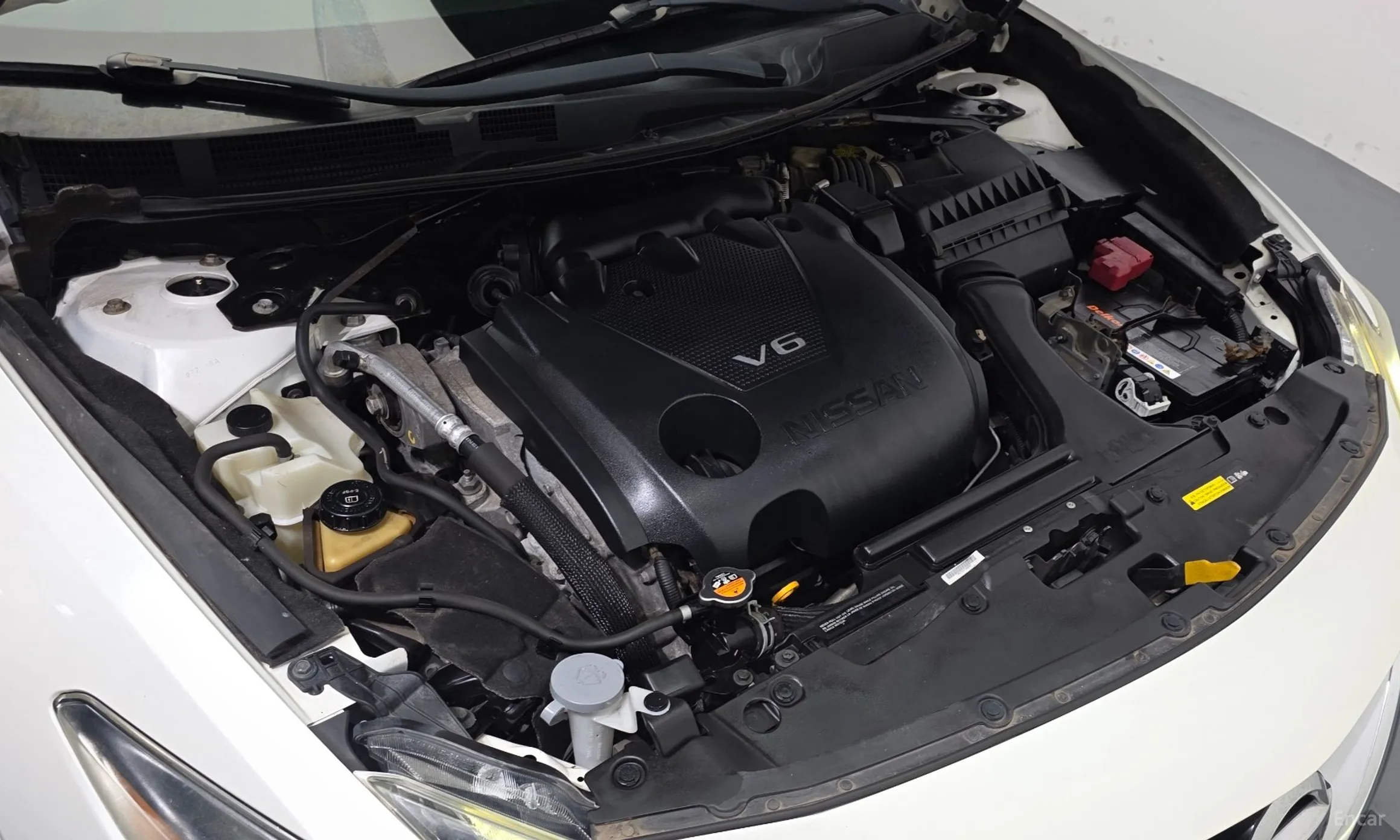 Nissan Maxima (A36) превью 6