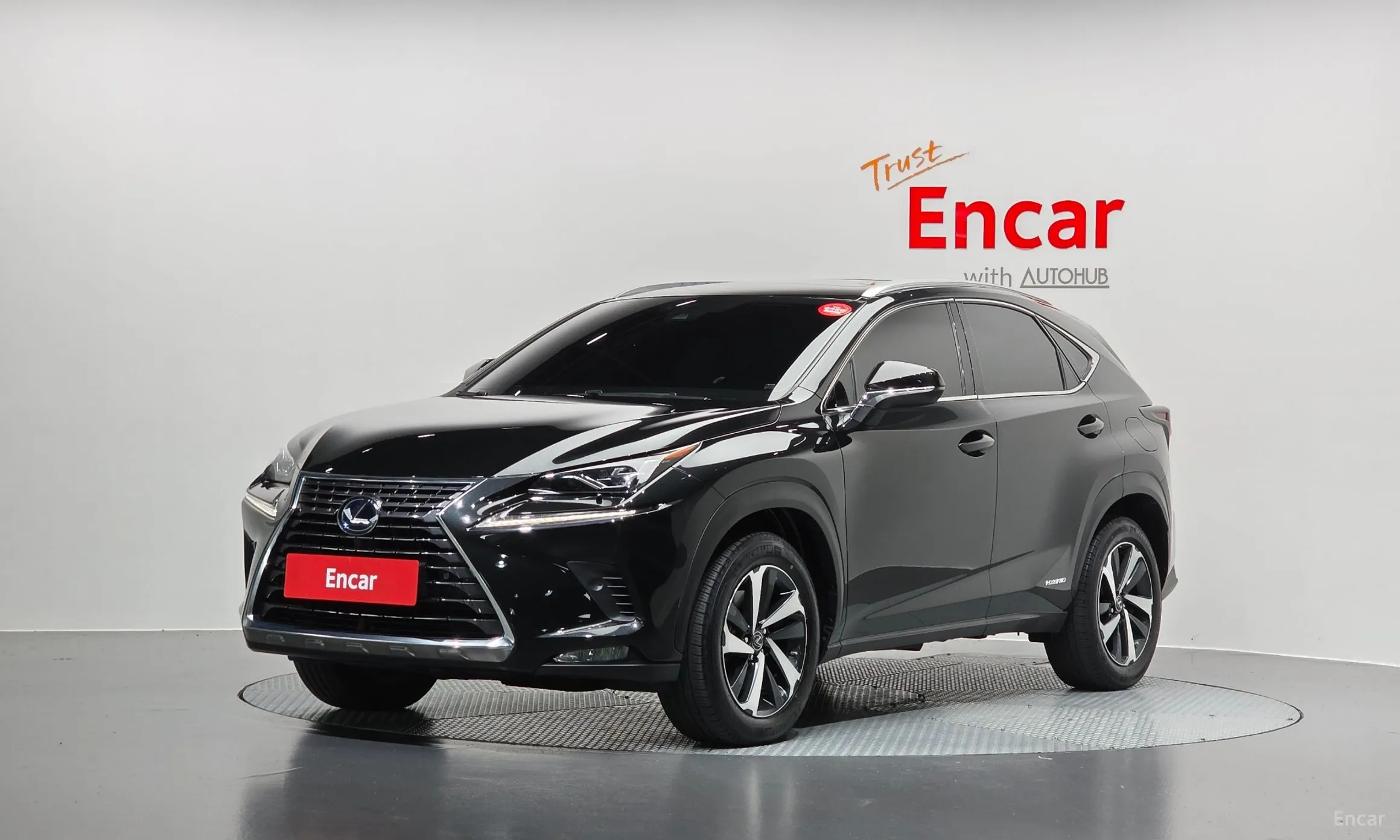 Lexus NX300h
