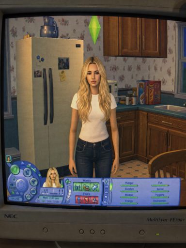 Сцена из The Sims 2