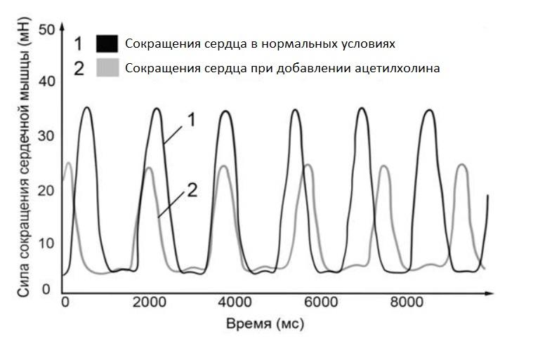 Иллюстрация к заданию, рис.1