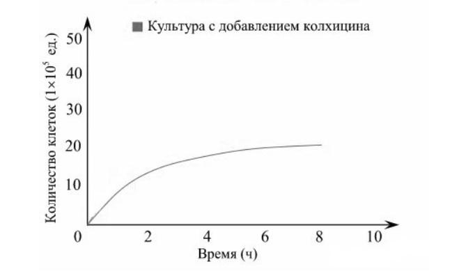 Иллюстрация к заданию, рис.1