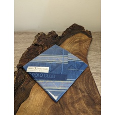 Оригинальный  носовой платок Crest Polo Club