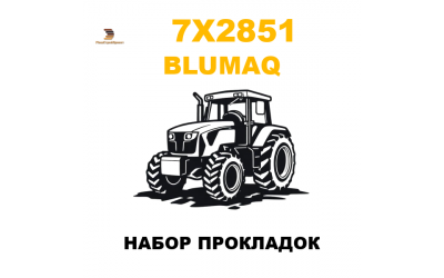 НАБОР ПРОКЛАДОК