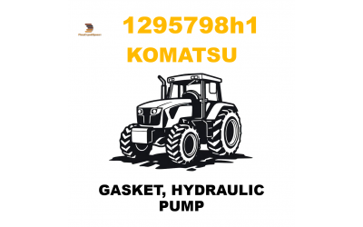 GASKET, HYDRAULIC PUMP