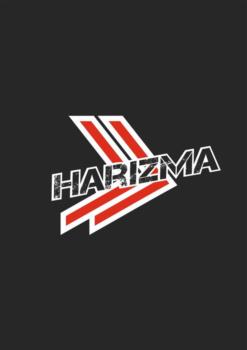 Логотип 2025802709