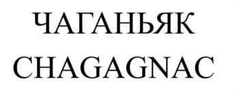 Логотип 2025807821