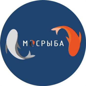 Логотип 2024741123