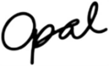 Логотип 2025700016