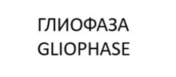 Логотип 2025700366