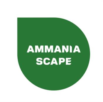 Логотип 2025704012