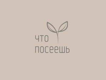 Логотип 2025706476