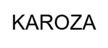 Логотип 2025702882